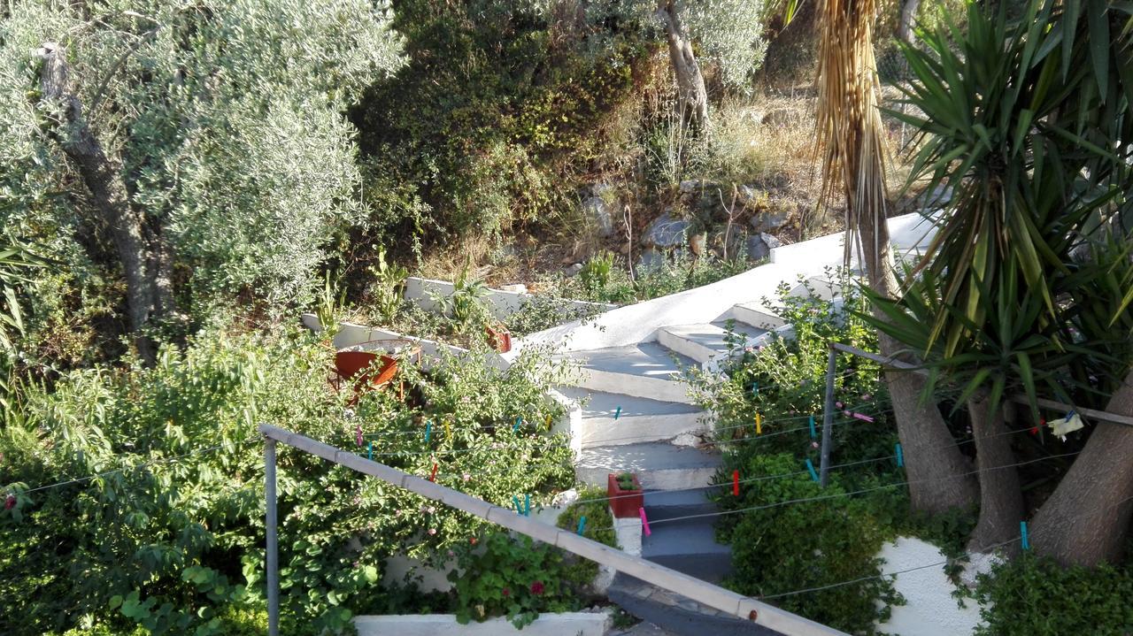 מגלי אמוס Stelios Studios מראה חיצוני תמונה