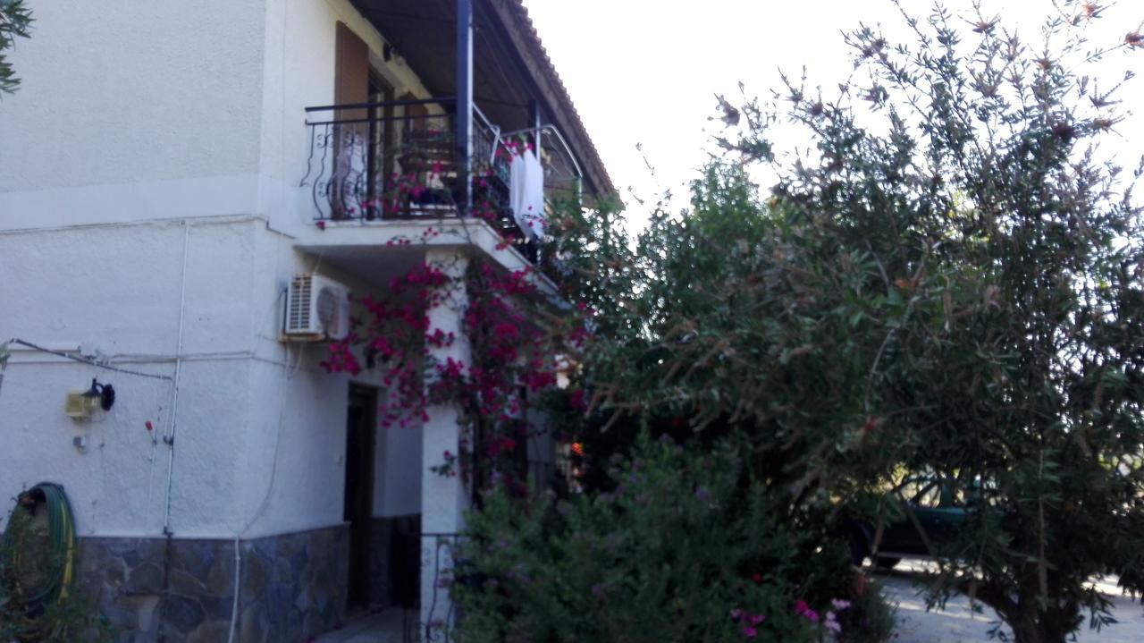מגלי אמוס Stelios Studios מראה חיצוני תמונה