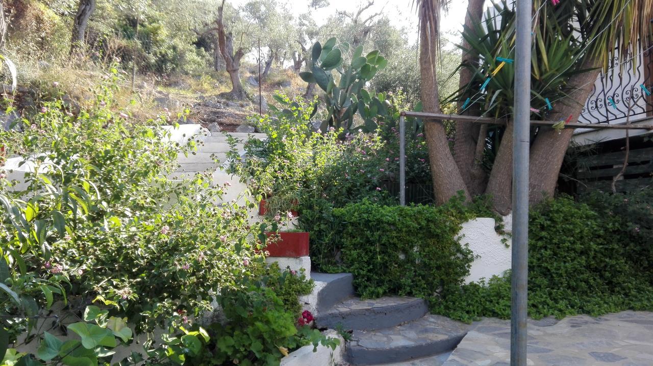 מגלי אמוס Stelios Studios מראה חיצוני תמונה