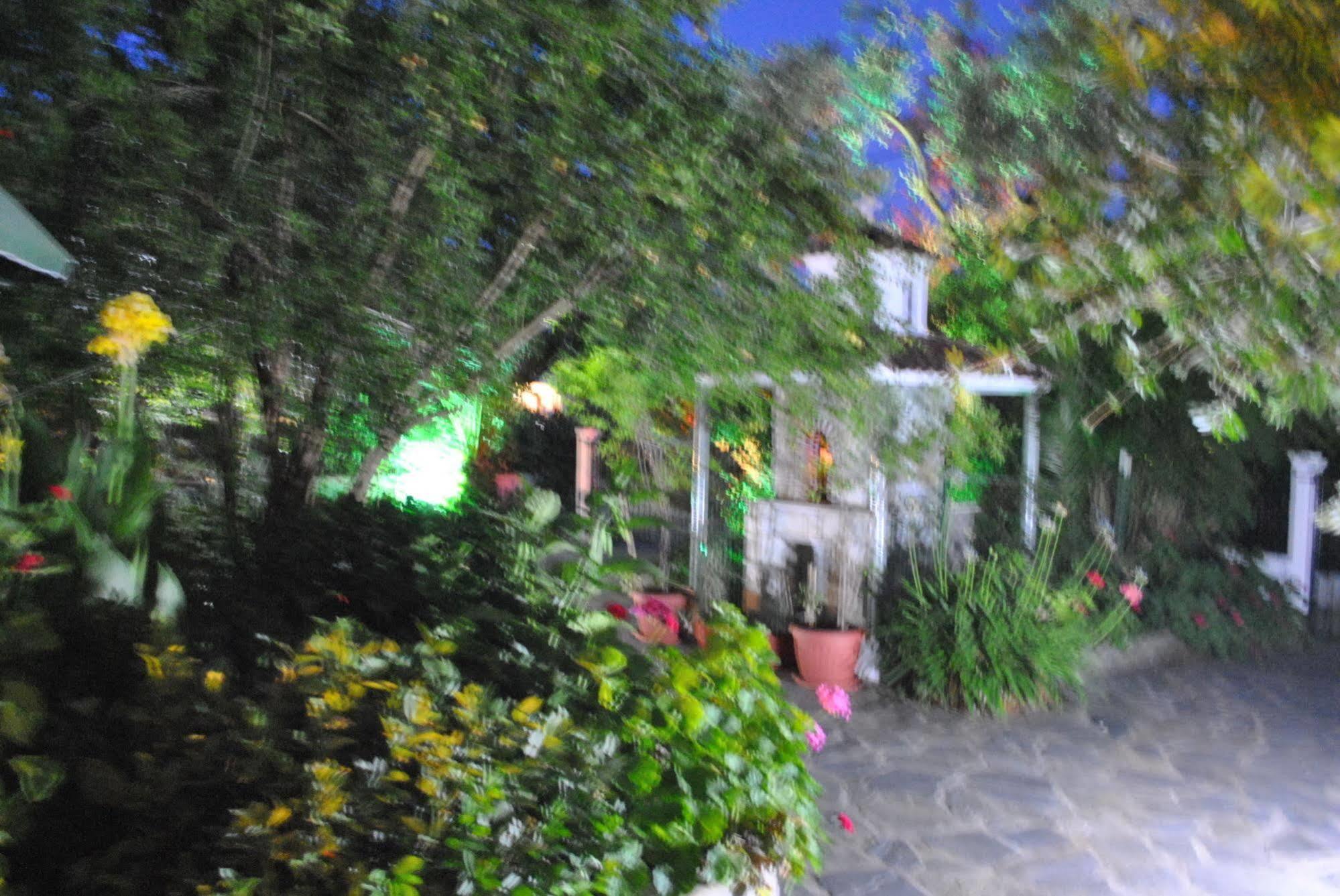 מגלי אמוס Stelios Studios מראה חיצוני תמונה
